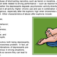 Illustration for article titled Highlights From a Six-Hour Defensive Driving Course I Took